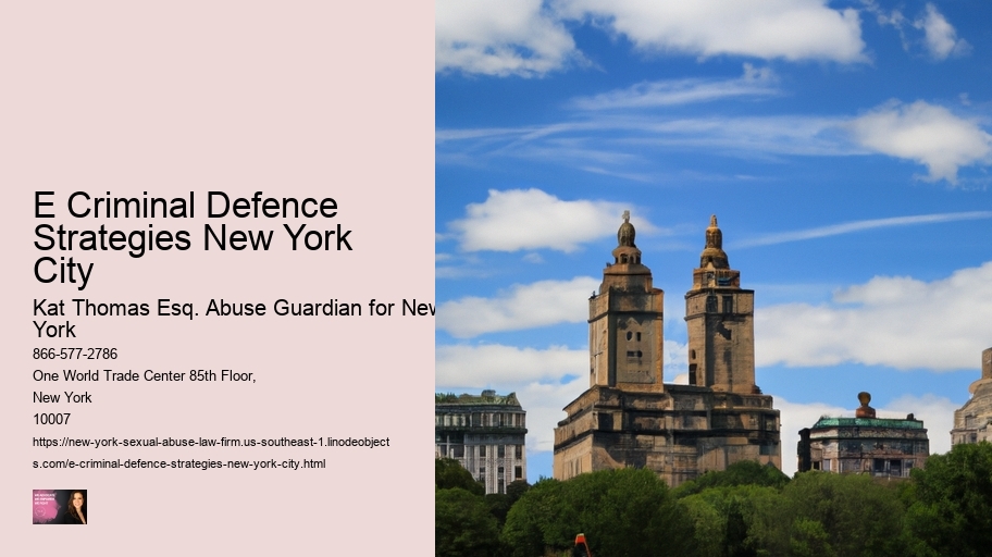 e Criminal Defence Strategies New York City