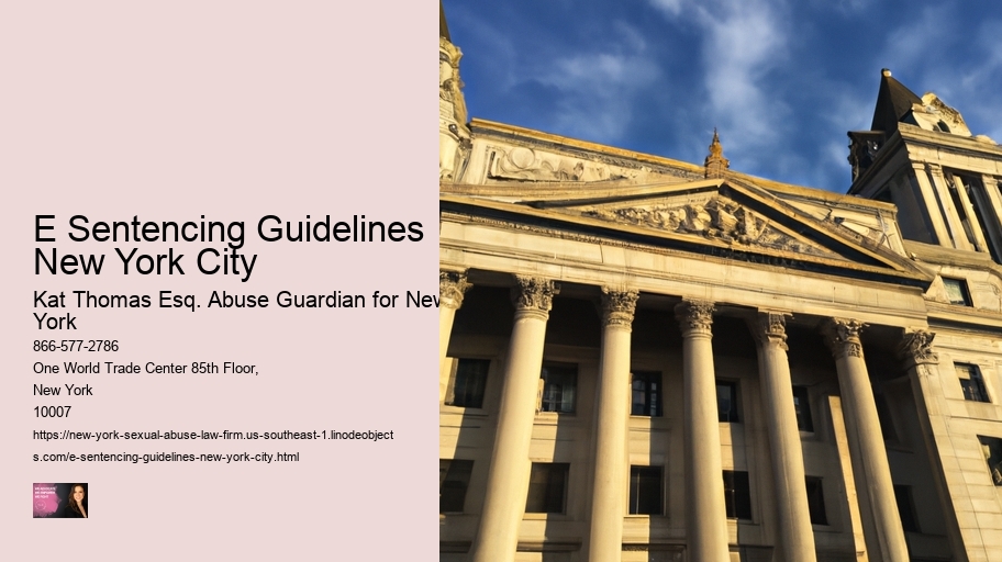 e Sentencing Guidelines New York City